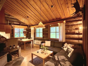 Lapland Lodge Pyhä, free wifi, sauna, ski in - ski out in Kemijärvi